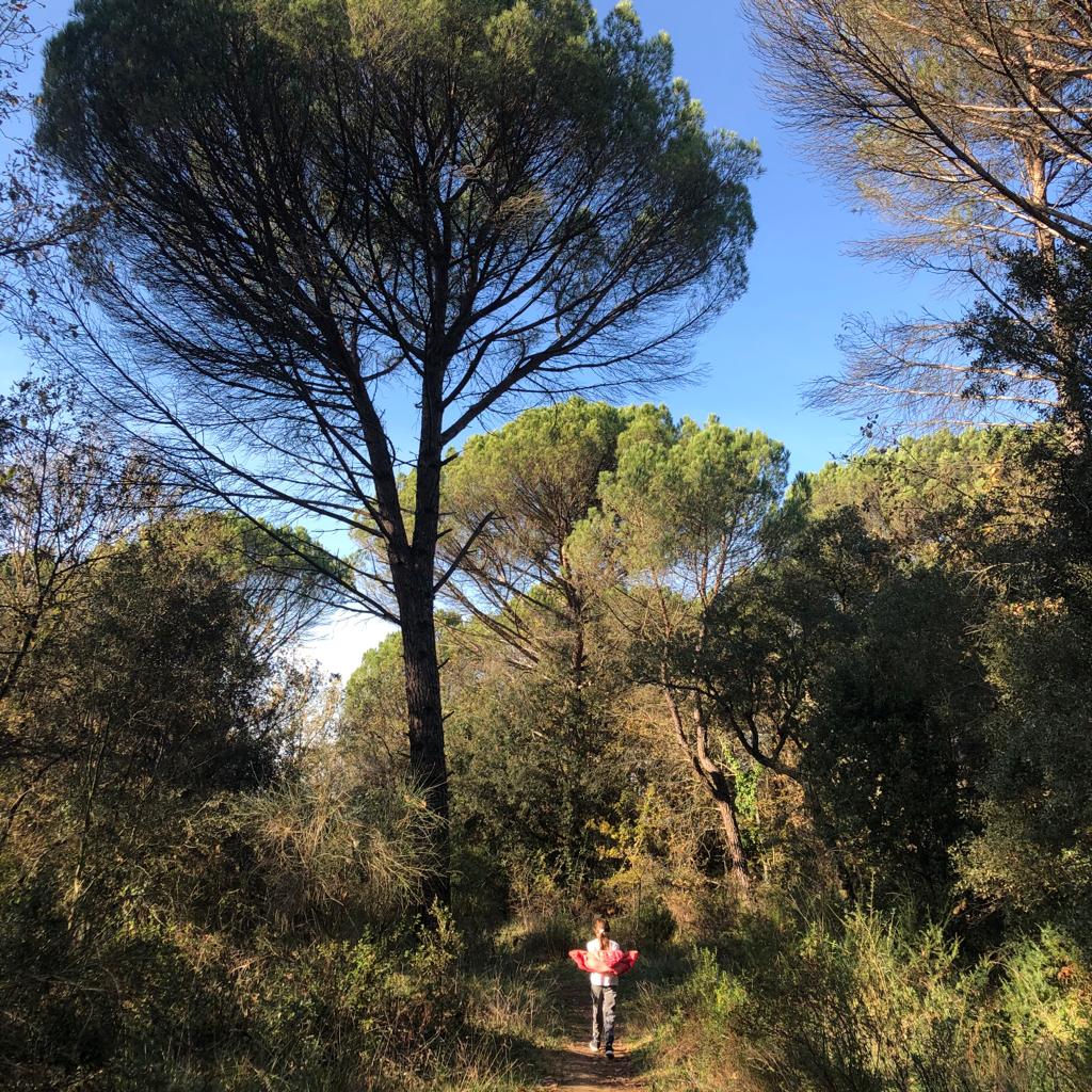 Soundscape : Bany de bosc al Bosc de Can Fornaca