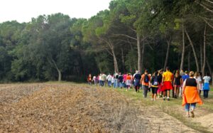 Caminada en dimecres feiner